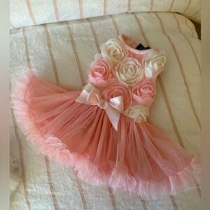 Pawpatu dress for female dog XS